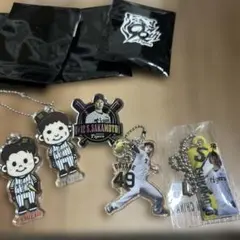 阪神タイガース スポーツ選手