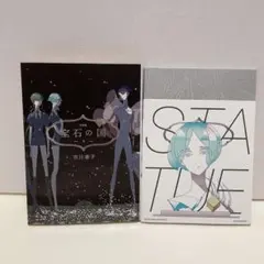 宝石の国 市川春子 特典 イラストカード ポストカード 希少 Yahoo!オークション - 市川春子 『宝石の国』6巻購入特典