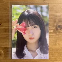 Item thumbnail for item 4ee46791-174a-40b9-8020-70c26c28164f