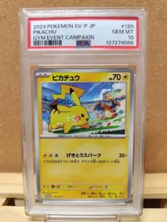 【PSA10】ピカチュウ プロモ げきとうスパーク ジムプロモ リザードン