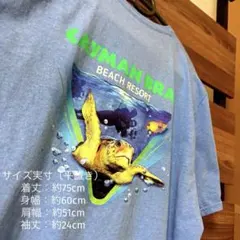 【海外古着】CAYMAN BRAC ウミガメ ダイビングTシャツ XL