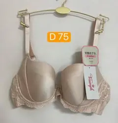 トリンプ天使のブラ スリムラインTR502 ブラジャー　ベージュ　D 75