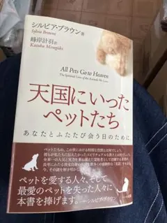 2025年最新】スピリチュアル シルビアブラウンの人気アイテム - メルカリ
