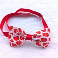 Item thumbnail for item f2ca5776-4ab3-4df6-a84e-f93ba7bc9aca