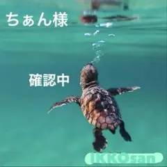 プルオーバーパーカー ドライTシャツ
