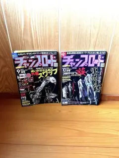 2026年最新】ﾁｬﾝﾌﾟﾛｰﾄﾞの人気アイテム - メルカリ