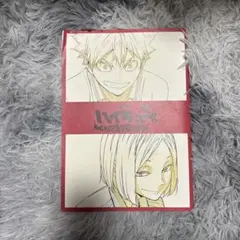 ハイキューゴミ捨て場の決戦 入場者特典
