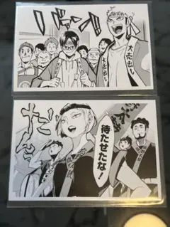 ハイキュー 10th クロニクル 思い出スナップフォトカード
