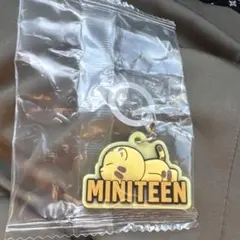 SEVENTEEN MINITEEN ぷっくりめじるしアクセサリー　ホシ