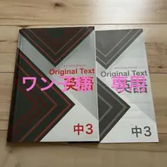 ワン子様 専用 Original Text 英語 中3
