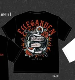 ellegarden ミュージシャン