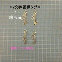 ゴルフクラブ 番手チャーム 番手タグ ≪2文字 シルバー≫