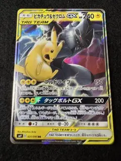 ポケモンカード ピカチュウ＆ゼクロム セレビィ＆フシギバナ ゲッコウ
