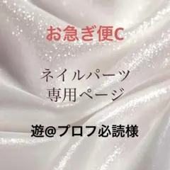 ご購入される方のみプロフ必読ページ 替芯1本プレゼント】FISHER SPACEPEN フィッシャースペースペン