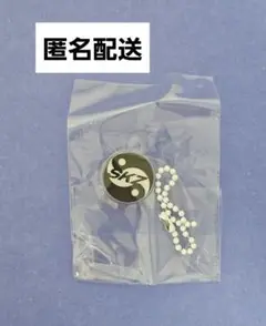 【匿名配送】 KARMA スキズ SKZOO盤 NFC チャーム NEMO