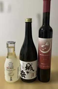 奥能登の白菊 貴醸酒 2025BY 500ml 石川県初 白藤酒造 日本酒 - メルカリ