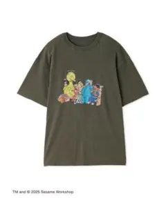 BTS JIN 着用 セサミストリート ヴィンテージアートTシャツ M - メルカリ