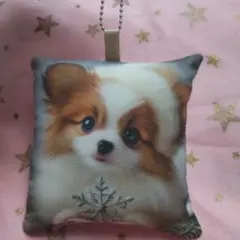 Item thumbnail for item 61c5a5ca-0005-4dcc-a70e-036c977e3246