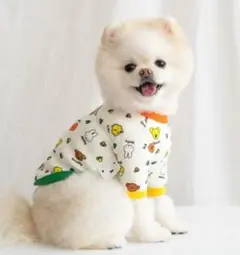 Item thumbnail for item 4ef1f5ba-aadb-46c6-ab34-ef9e538c4c30