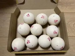 Item thumbnail for item 54821644-1c13-4cde-95a3-91848f68704c