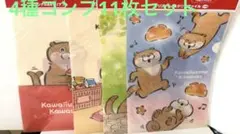 可愛い嘘のカワウソ ファイル コンプ 11枚セット まとめ売り A4サイズのサムネイル
