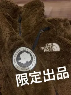 ノースフェイス アンタークティカバーサロフトジャケットL