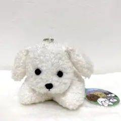ダッシュ！わんちゃん　ぬいぐるみチェーンマスコット　プードル　ホワイト　新品