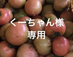 くーちゃん様　専用