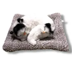 2026年最新】ねむり猫の人気アイテム - メルカリ