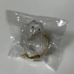 うちの子けだまだま ポメラニアン