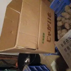 北海道産じゃがいもと新鮮野菜セット