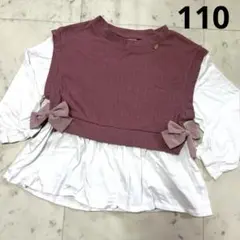 ピューピルハウス 長袖 110