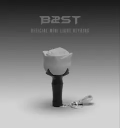 2026年最新】ペンライト beastの人気アイテム - メルカリ