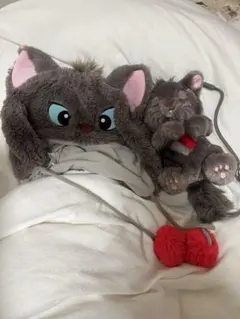 ベルリオーズ ファンキャップ ショルダーバッグ 2個セット ディズニー マリー