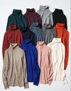 UNIQLO メリノリブタートルネックセーター