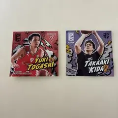 Bリーグビーバー 選手シール (東地区)2セット