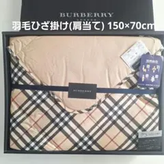 Item thumbnail for item 1b79c2dd-b19e-4f2d-8f4a-e07d11132e5e