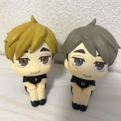 2026年最新】るかっぷ ハイキュー 宮侑の人気アイテム - メルカリ