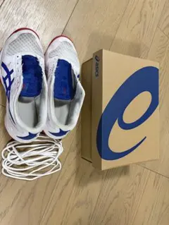 Item thumbnail for item 6374c59d-5e23-4c4c-8a8f-c25f17440566