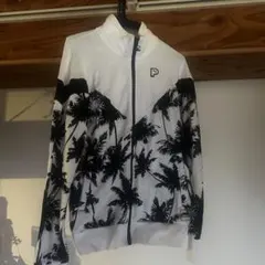 Item thumbnail for item 95288a21-0e84-4d95-bba0-610f7dd1a6ed