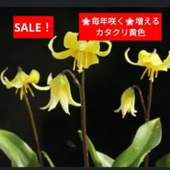 もーちゃ様 リクエスト 5点 まとめ商品