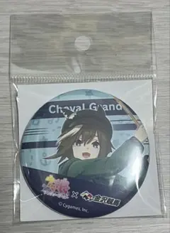 ウマ娘　金沢競馬　シュヴァル　缶バッジ　10個 ウマ娘 金沢競馬場 コラボ シュヴァルグラン 缶バッジ 10個