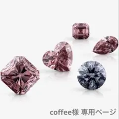 ＊専用ページ＊