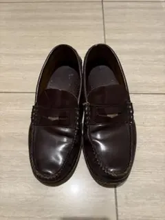 Item thumbnail for item 14fb18ce-9b3a-4546-b11f-ec1e6648f373