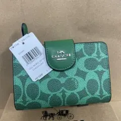 Item thumbnail for item 88cc27d7-55f6-4003-a448-6d746682e0a2