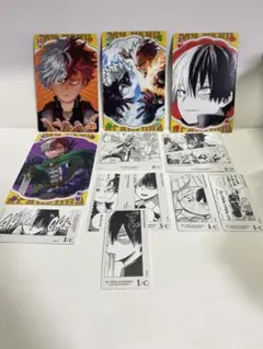 ヒロアカ 僕のヒーローアカデミア 轟焦凍