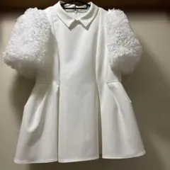 CELFORD 襟付きブラウス 36 WHT ホワイト - メルカリ
