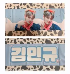 SEVENTEEN セブチ ミンギュ スローガン うちわ付き