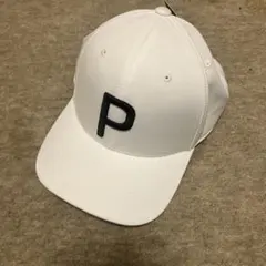 Item thumbnail for item 0b8b5dc0-3ef0-42cf-9cdb-363e4f489d94