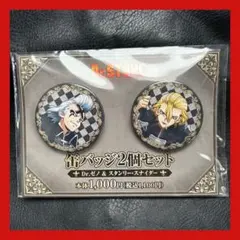 Dr.STONE ファミリーマート 缶バッジ Xeno、スタンリー